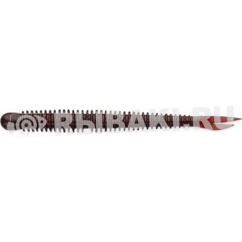 7981-006.jpg