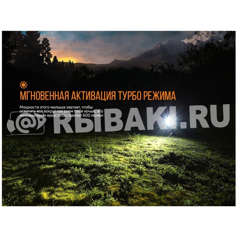 15038-836.8.jpg
