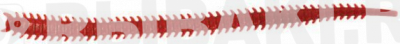 14815-554.jpg