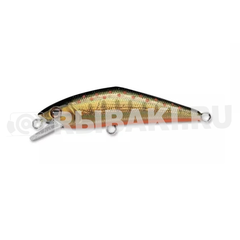 15027-266.jpg
