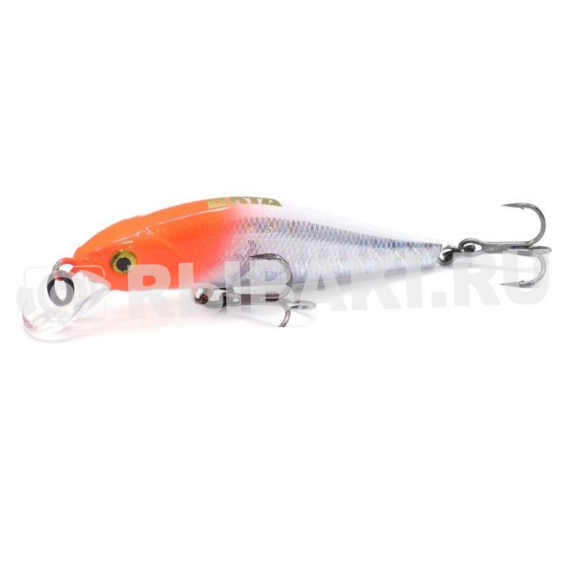 15027-348.jpg