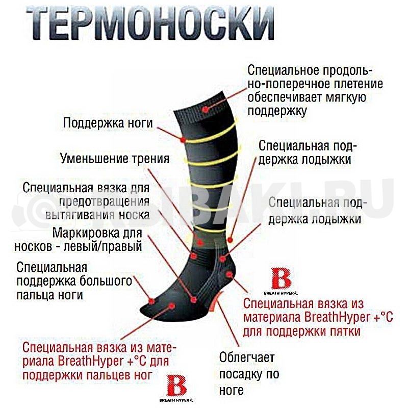 7669-003.1.jpg