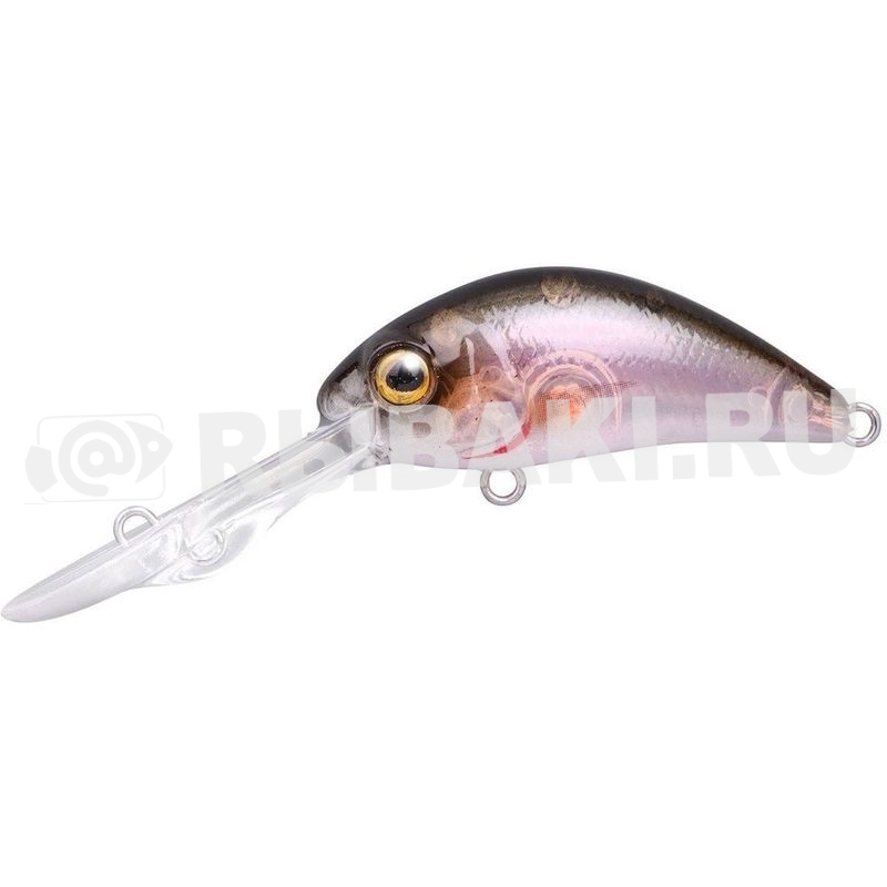 10855-058.jpg