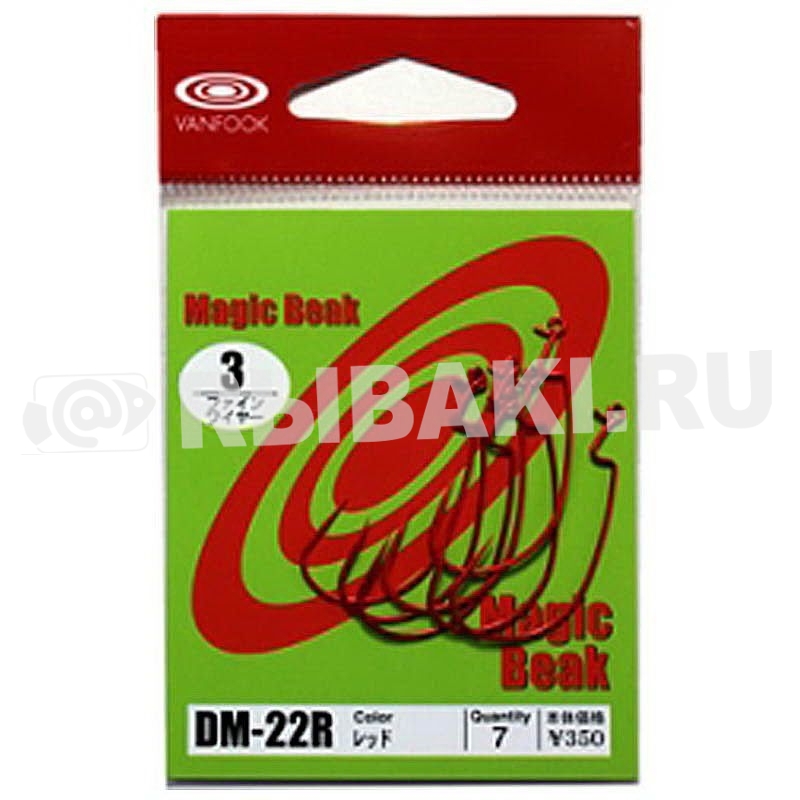 6282-100.1.jpg