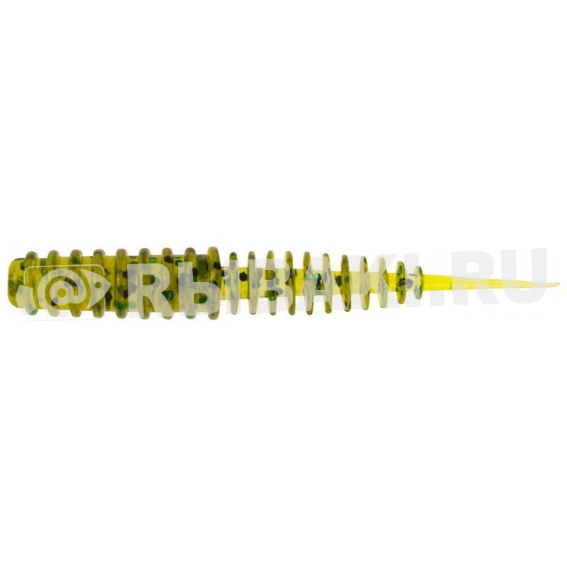 7919-008.jpg