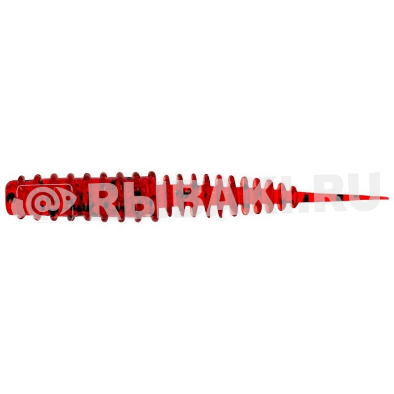 7919-027.jpg