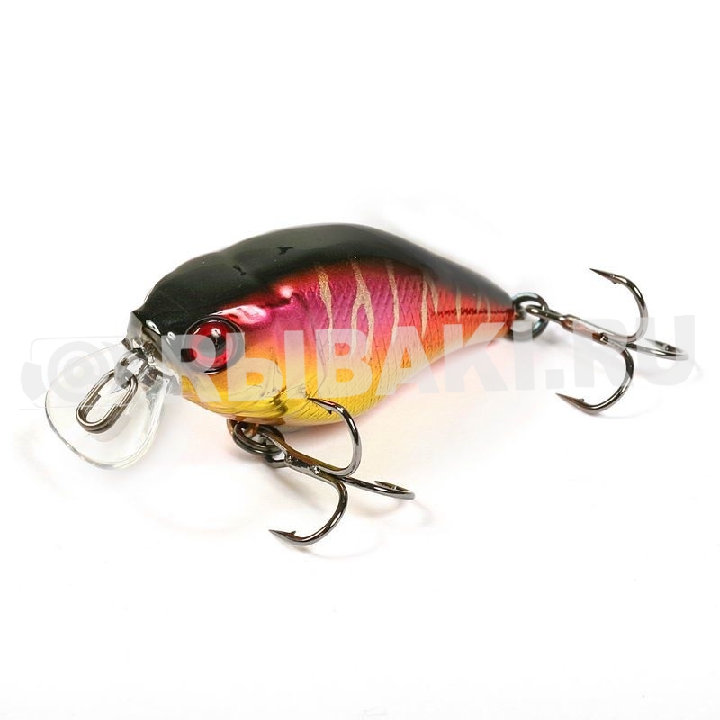 4224-302.1.jpg