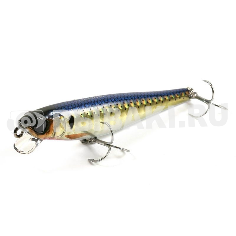 1152-462.1.jpg