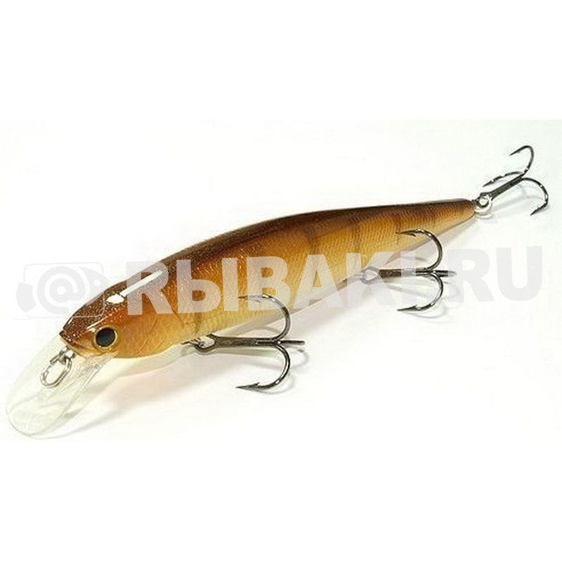 4654-800.jpg