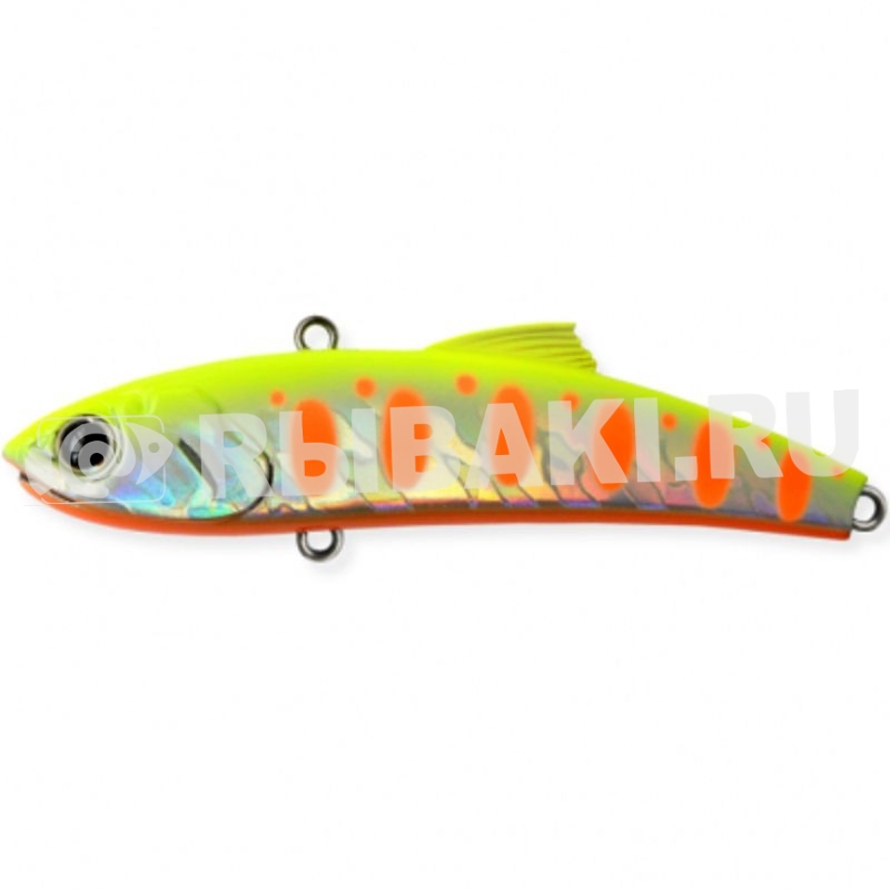 15038-972.jpg