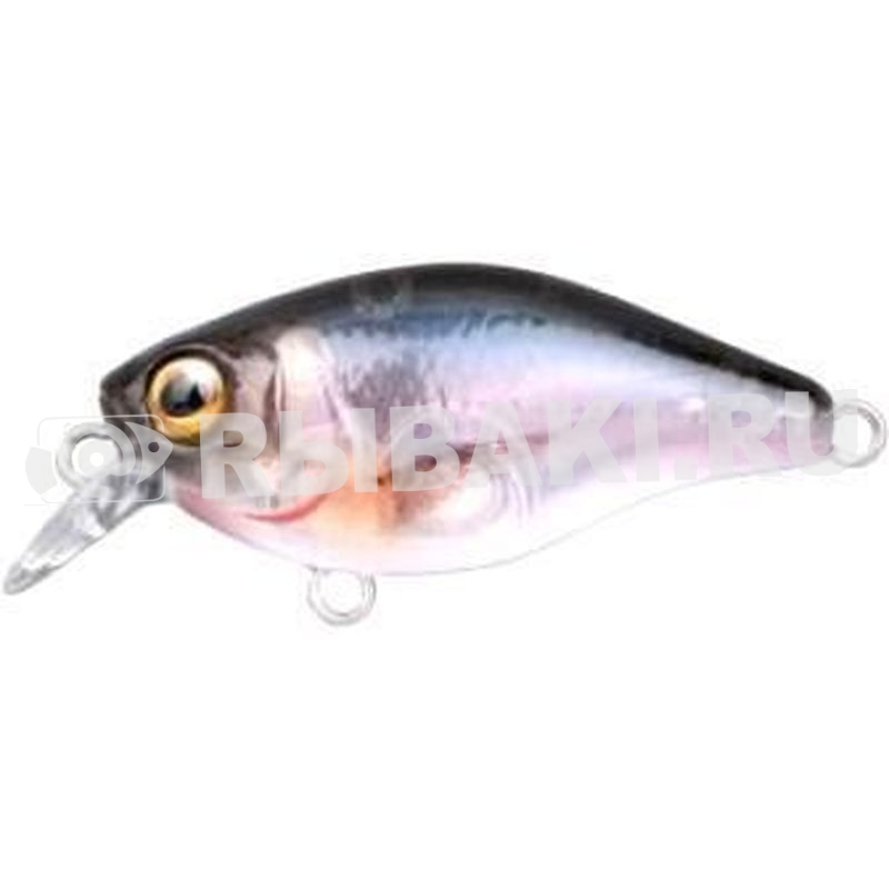10878-058.jpg