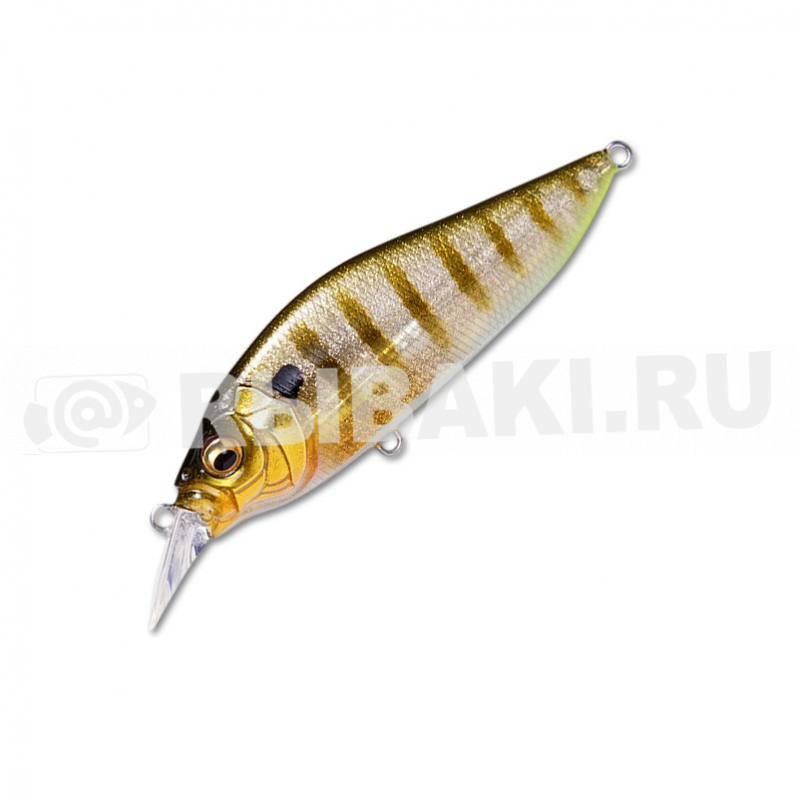 14840-867.jpg