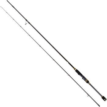 Спиннинг ARES Lester Beats Magnum Boron 8.0 тест 2,5 -4,5 EGI