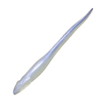Слаг MEGABASS Honjikomi Hazedong 102 мм (8 шт.) цв. ghost shad solid в интернет магазине Rybaki.ru