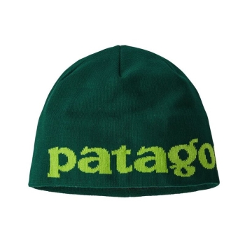 Шапка PATAGONIA Men's Beanie Hat цвет LBPG в интернет магазине Rybaki.ru