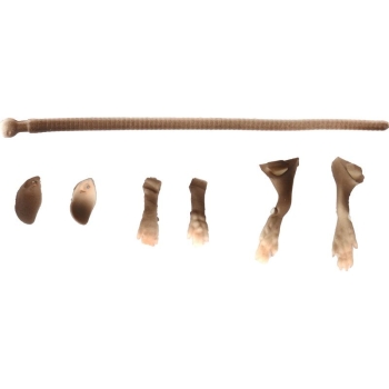 Набор для приманок SAVAGE GEAR LB 3D Rad Maintenance Kit 20 цв. 01-Brown в интернет магазине Rybaki.ru