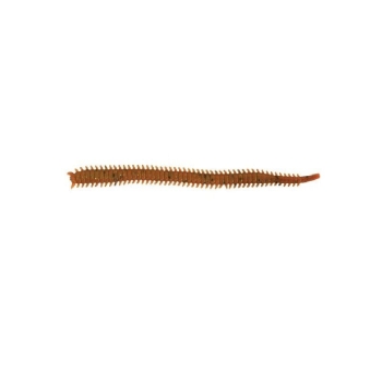 Червь MARUKYU Power Isome S 80 мм (20 шт.) цв. Brown