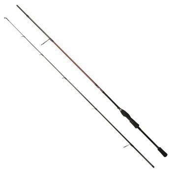 4646-732.jpg